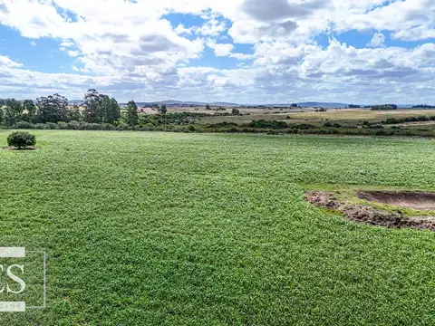 Chacras en venta de 3,5 ha con opción de 7 ha o 14 ha Corte de la Leña Maldonado