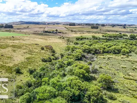 Chacras en venta de 3,5 ha con opción de 7 ha o 14 ha Corte de la Leña Maldonado