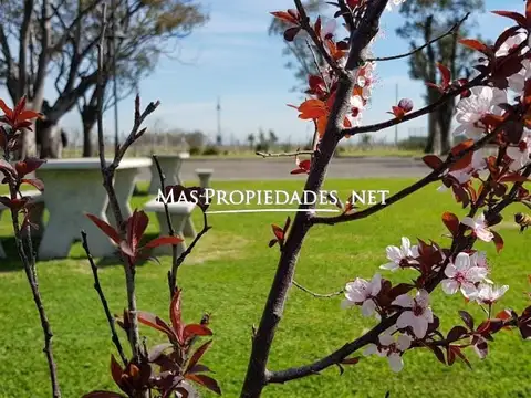 Terreno en Venta de 806,0 m2