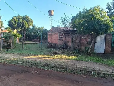 Jacarandá