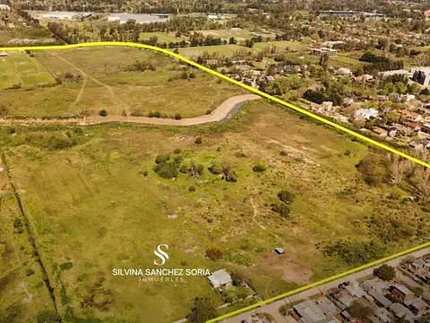 IMPORTANTE CAMPO 40 / 30 HAS PILAR