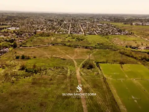 IMPORTANTE CAMPO 40 / 30 HAS PILAR