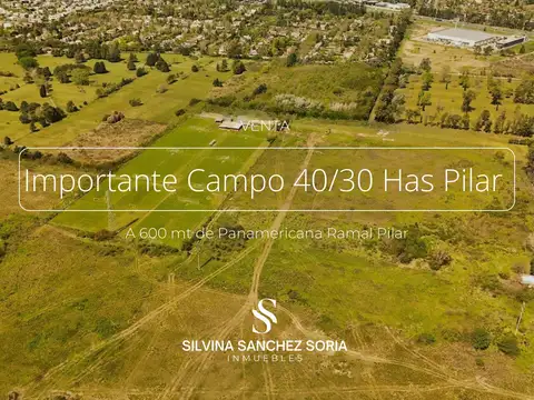 IMPORTANTE CAMPO 40 / 30 HAS PILAR