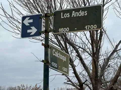 Calchaqui