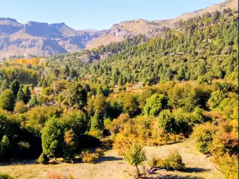 Terreno en Venta en San Martín de los Andes, Lácar