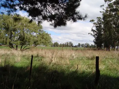 Campo Mar Chiquita 38 Hectareas