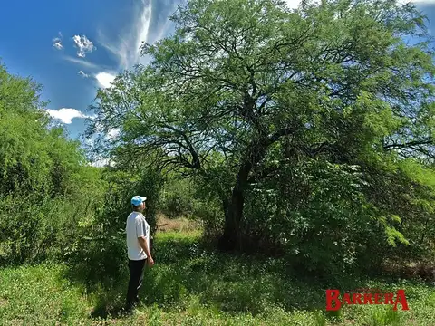 Campo en Venta Chacra