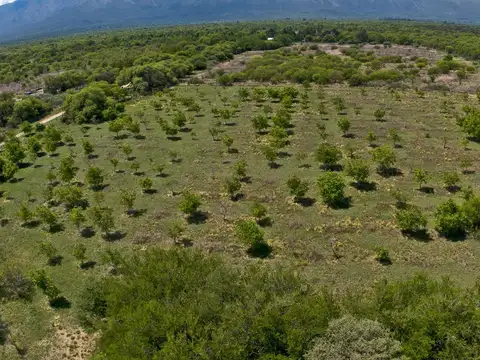 Campo en Venta de 5  ha