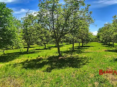 Campo en Venta de 5  ha