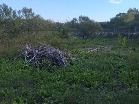 Terreno en Venta 48  mts Fondo