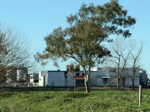 VENTA DE CAMPO EN VIRREY DEL PINO - 312 HECTÁREAS