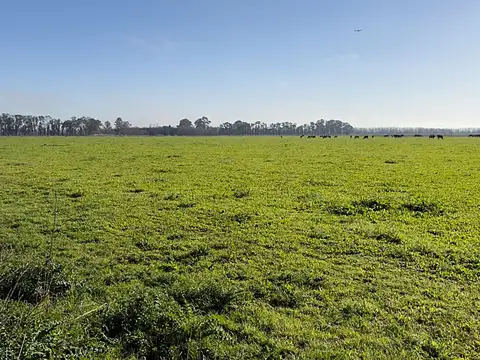 Campo en Venta en Virrey del Pino, Partido de La Matanza
