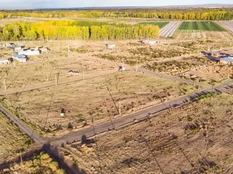 Terreno en Venta en Plottier, USD 12.700