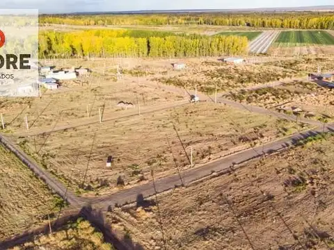 Terreno en Venta en Plottier, USD 12.700