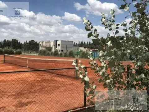 Terreno en Venta 20  mts Frente
