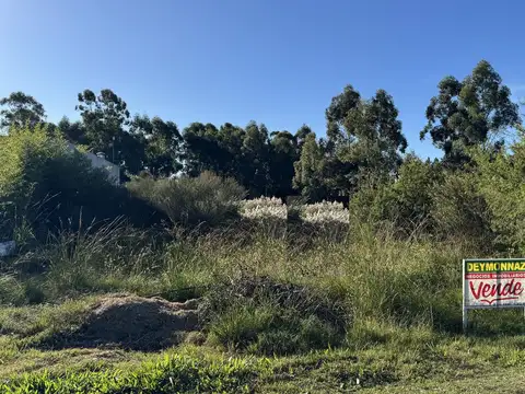 Terreno en Venta Colón Barrio El Bosque   