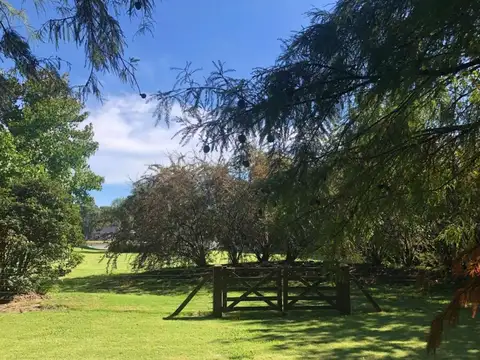 El Lauquen con Fondo al Lago!!