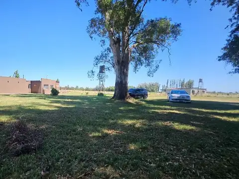 Lote 1311, próximo a Estación M. J. García 100
