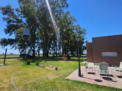 Lote 1311, próximo a Estación M. J. García 100