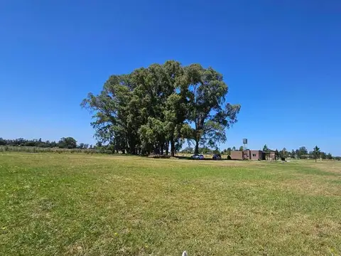 QUINTA EN VENTA CON PILETA EN MERCEDES