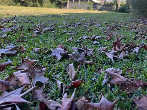 Terreno en Venta 30  mts Fondo