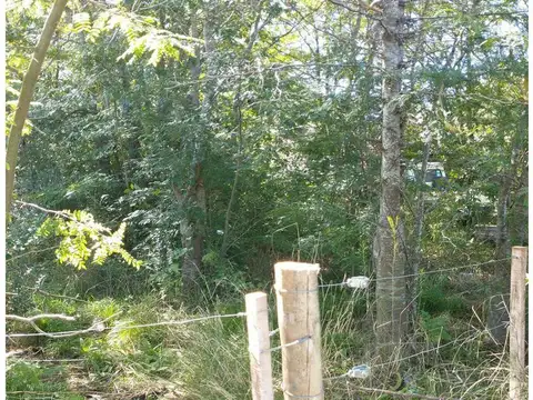 Terreno en Venta 8  mts Frente