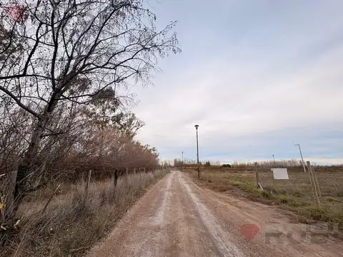 Terreno en Venta de 1000,0 m2
