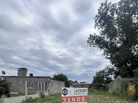 Lisandro de la Torre al 500