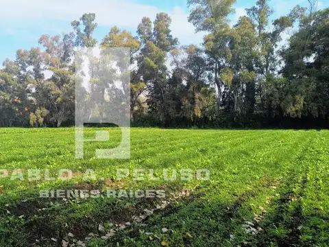 Terreno en Venta de 2737,0 m2