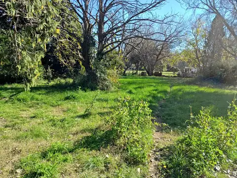 Quinta en Venta con 1 cochera