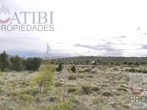 Terreno en Alquiler de 60118,79 m2