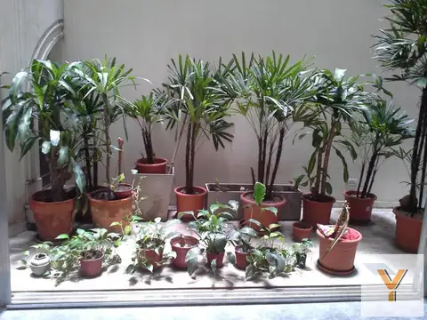 Departamento en Venta 100 años