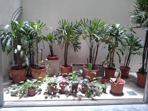 Departamento en Venta 100 años