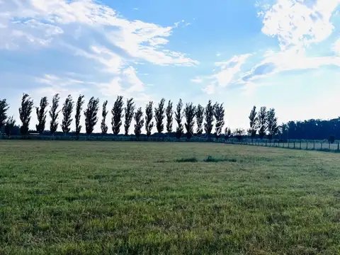 Terreno en Venta 70  mts Fondo