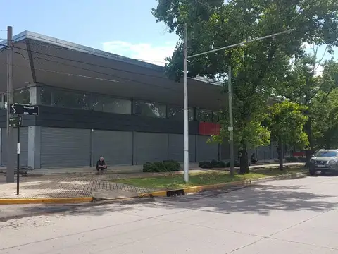 Local - Rosario