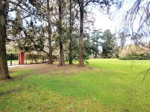 DEL VISO PILAR Florida 6400