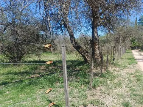 Terreno en Venta de 10000,0 m2