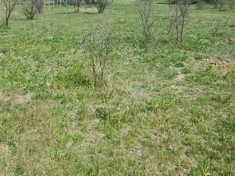 EN VENTA 1 HECTAREA EN LAS CALLES