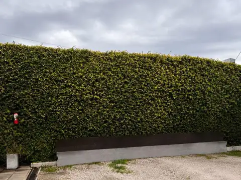 Casa en Venta 10 años