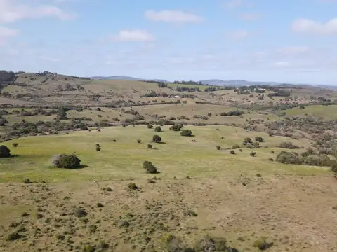 ruta 12