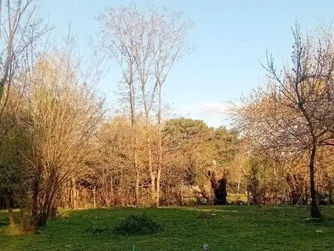 Terreno en Venta de 249,0 m2