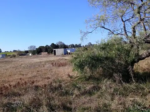 Terreno en Venta de 120000,0 m2