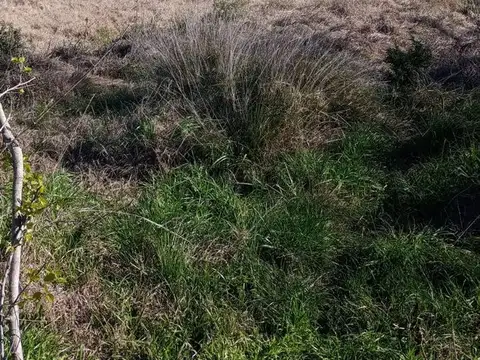 Terreno en Venta de 120000,0 m2