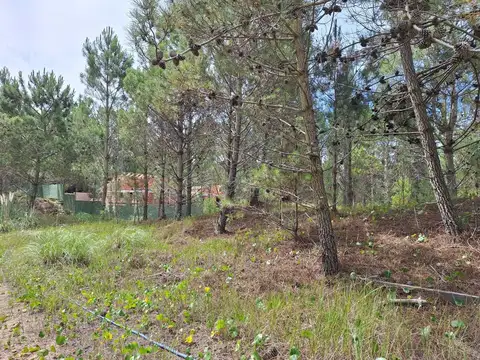 Terreno en Venta de 607,0 m2