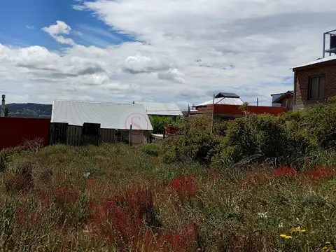 Lago Nuevo 100