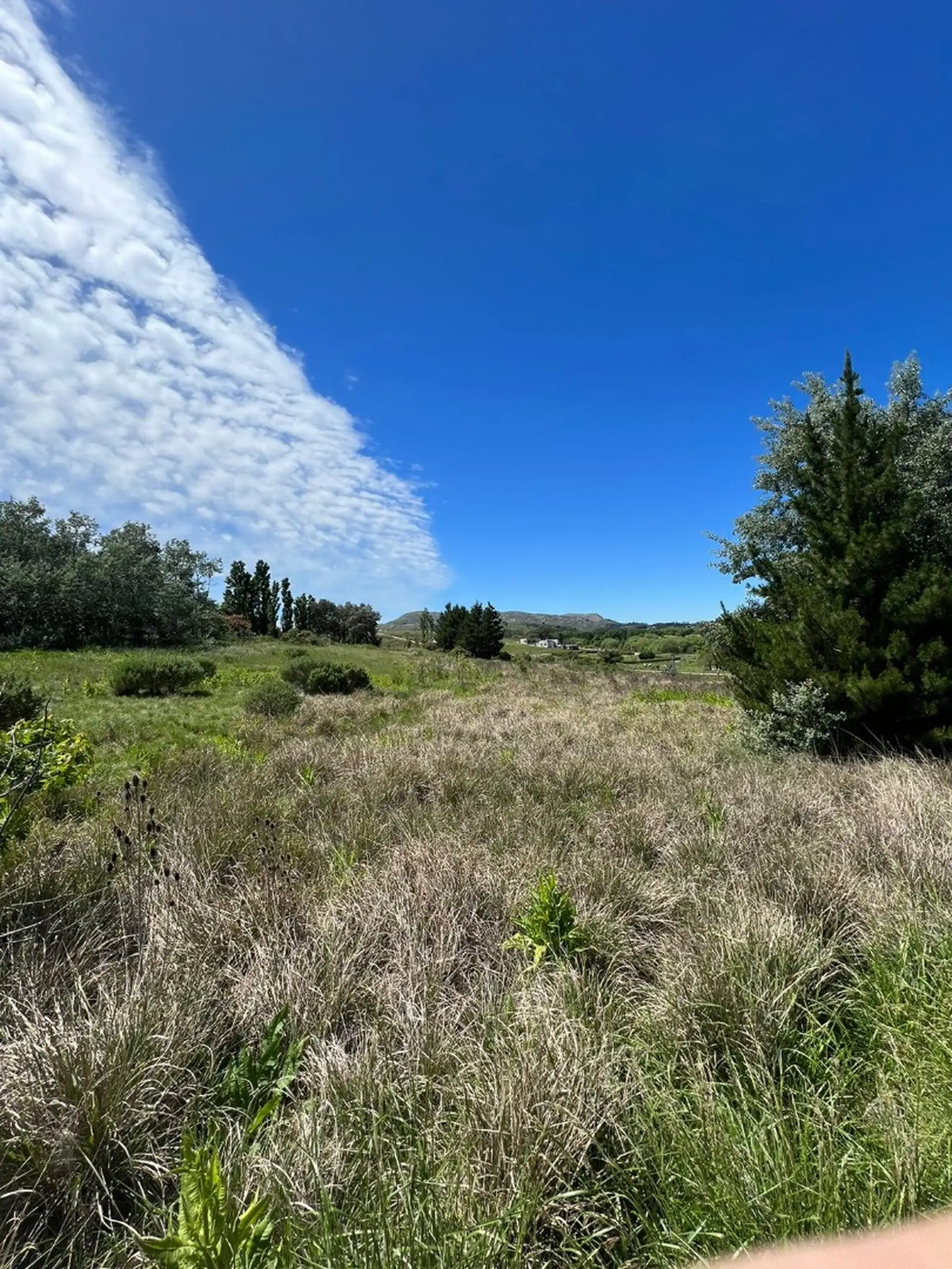 Lote 7000m² ideal para vivienda o desarrollo turístico