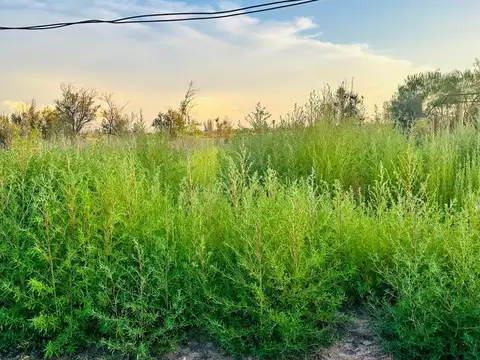Terreno en Venta de 337,0 m2