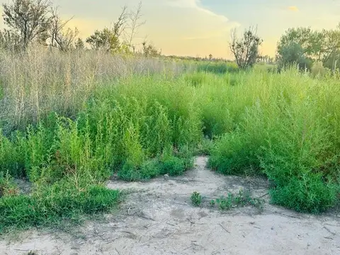 Terreno en Venta de 337,0 m2