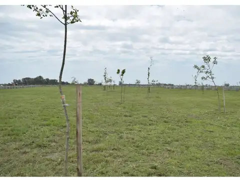Terreno en Venta 25  mts Fondo
