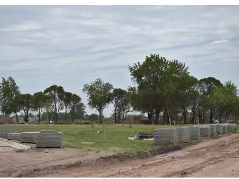 VENTA DE LOTES EN VILLA AMELIA